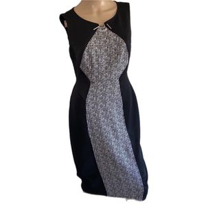 Enfocus Studio Black & White Dress